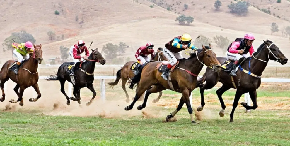 Horse racing betting odds