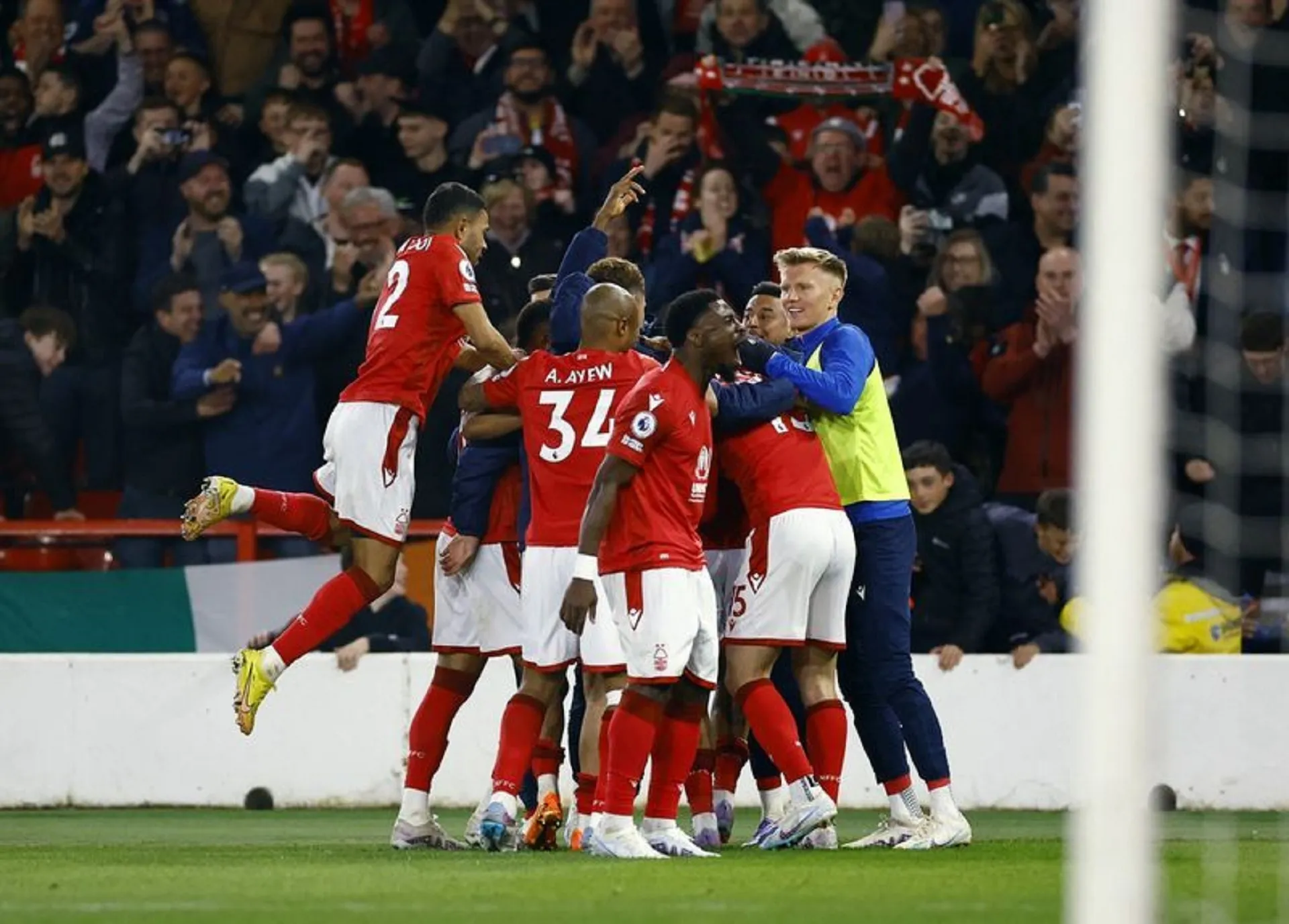 Forest climb out of relegation zone with Brighton win