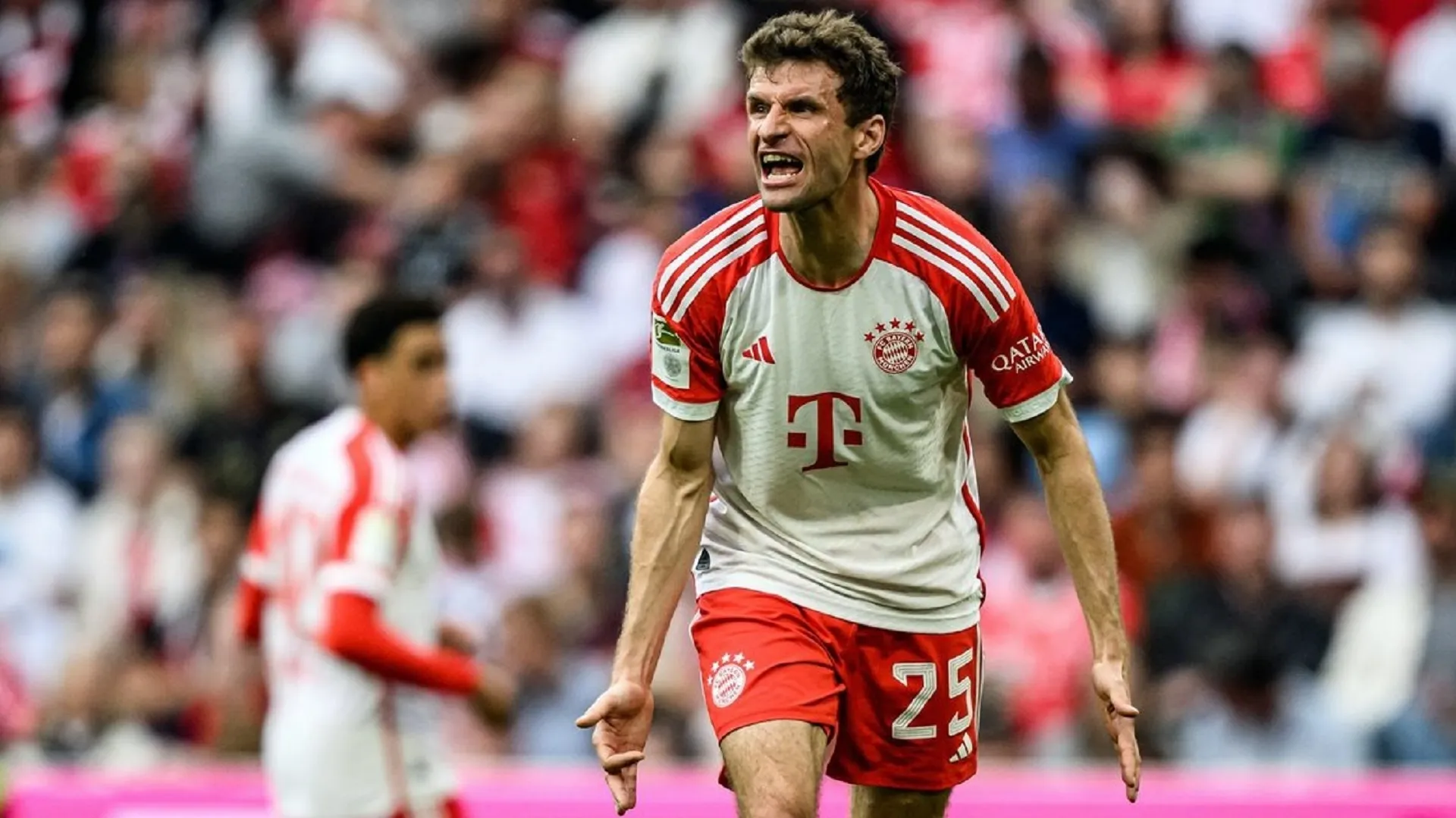 Cologne vs Bayern Munich: probable teams, match stats