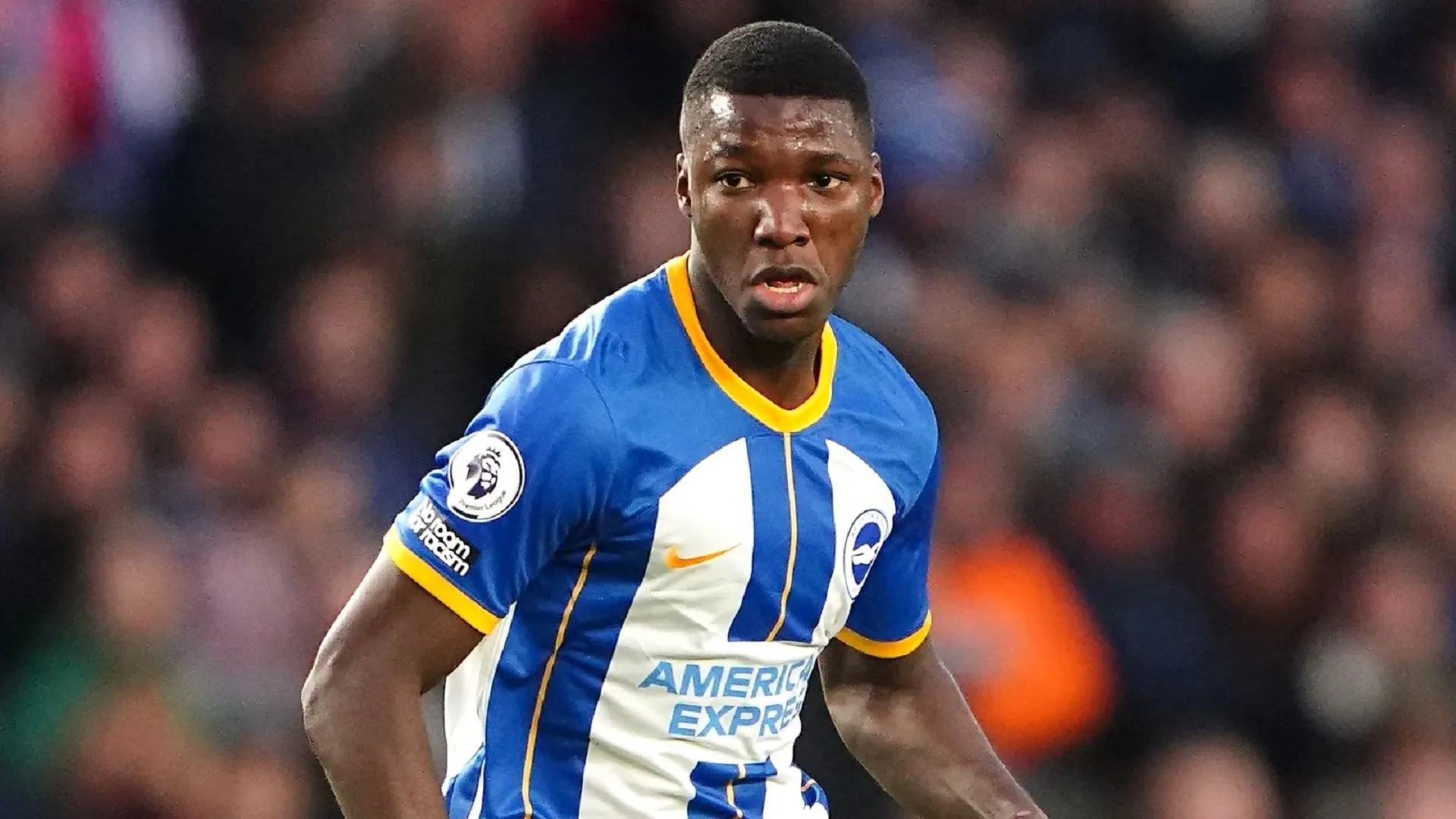 Brighton ready to consider Moises Caicedo offers