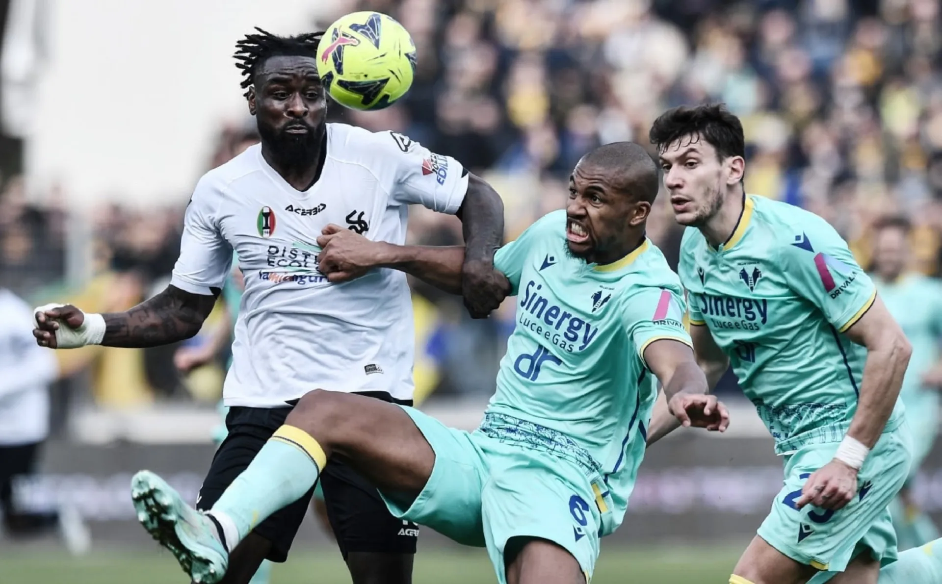 Hellas Verona to stay in Serie A, Spezia go down