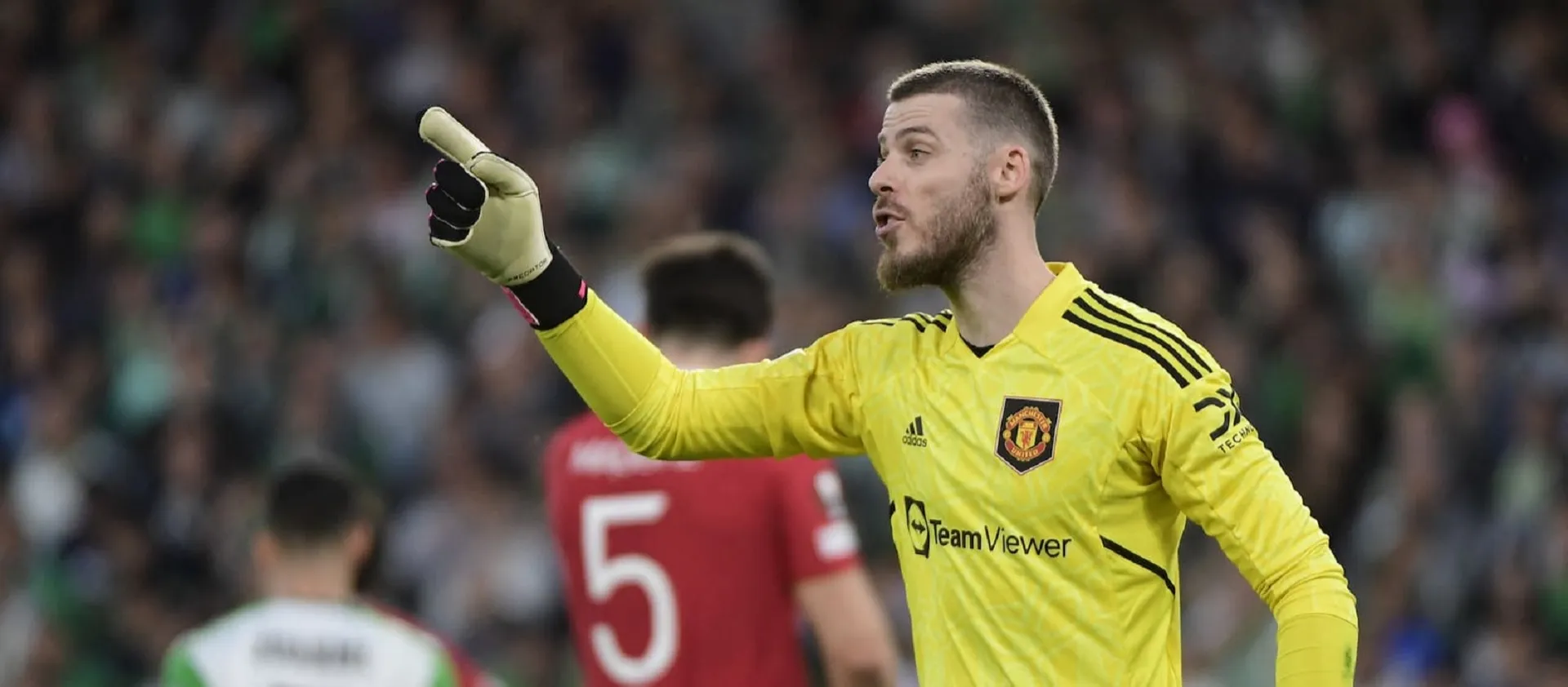 'Fraud' - Manchester United fan makes feature-length TWO-HOUR compilation video of David de Gea's fails