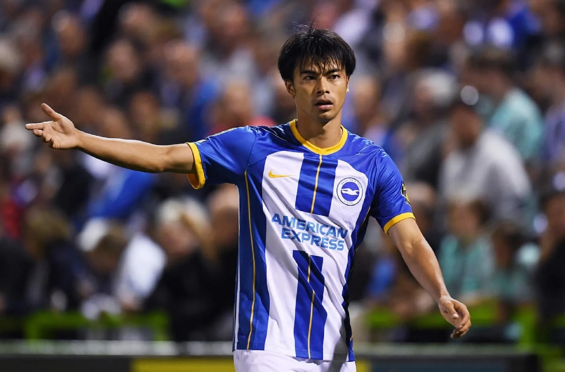 The master of dribbling! Kaoru Mitoma breezes past FOUR Wolves defenders as Brighton sensation runs 40 yards to score unbelievable solo goal